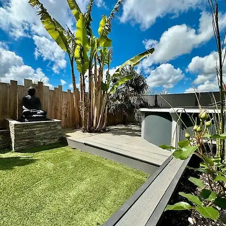 Oasis *